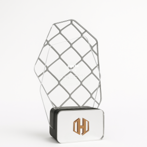Trophée MMA